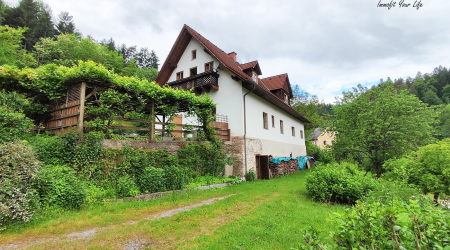 Haus-Bilder